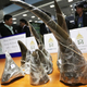 Cuernos de rinoceronte incautados en Thailandia. Foto: AP